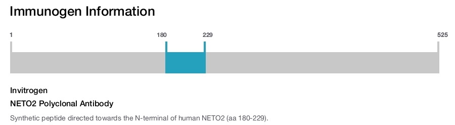 NETO2 Polyclonal Antibody