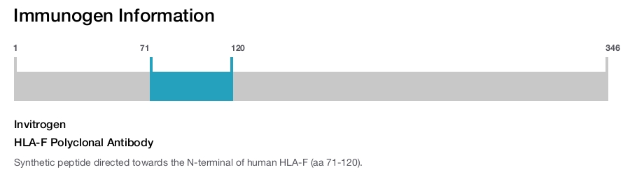 HLA-F Polyclonal Antibody