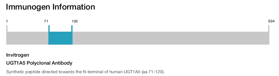 UGT1A5 Polyclonal Antibody