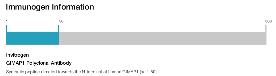 GIMAP1 Polyclonal Antibody