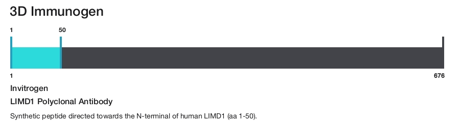 LIMD1 Polyclonal Antibody