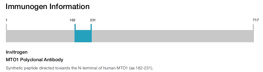MTO1 Polyclonal Antibody