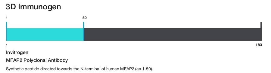 MFAP2 Polyclonal Antibody
