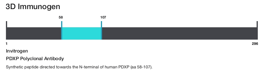 PDXP Polyclonal Antibody