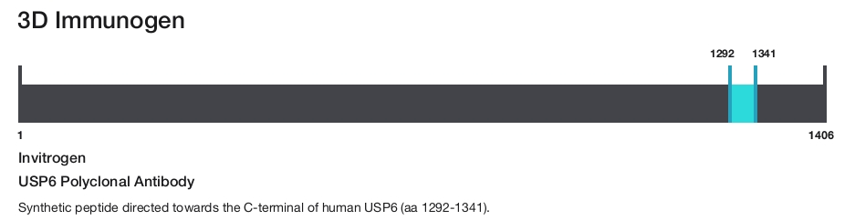 USP6 Polyclonal Antibody