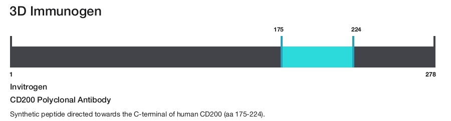 CD200 Polyclonal Antibody