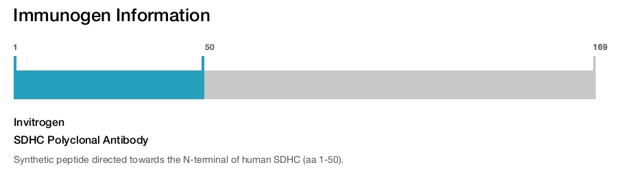 SDHC Polyclonal Antibody