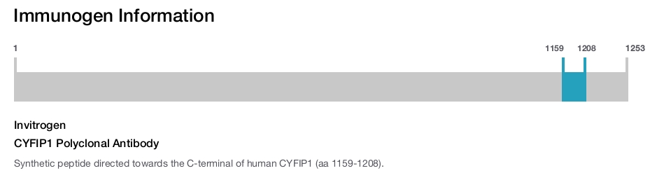 CYFIP1 Polyclonal Antibody
