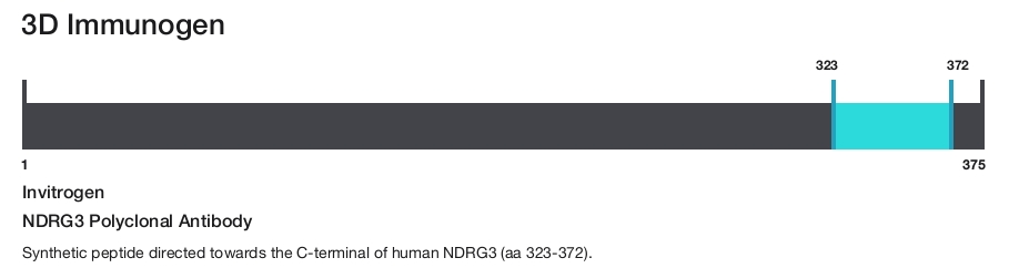 NDRG3 Polyclonal Antibody