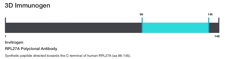 RPL27A Polyclonal Antibody