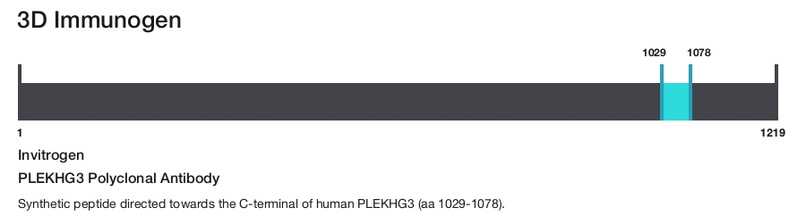 PLEKHG3 Polyclonal Antibody