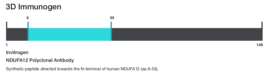 NDUFA12 Polyclonal Antibody