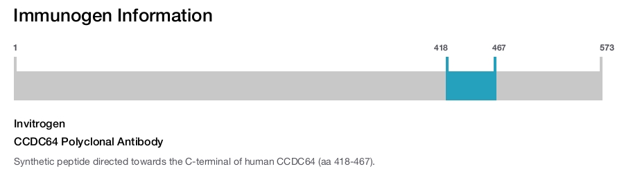 CCDC64 Polyclonal Antibody