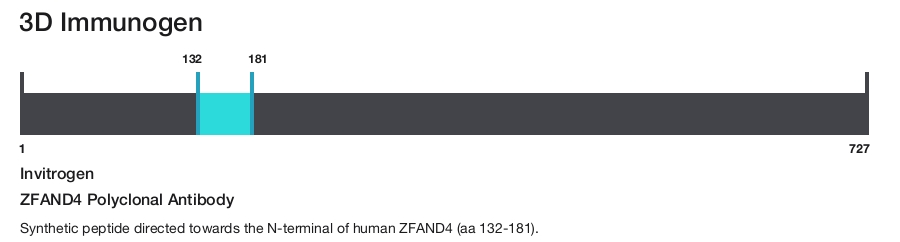 ZFAND4 Polyclonal Antibody