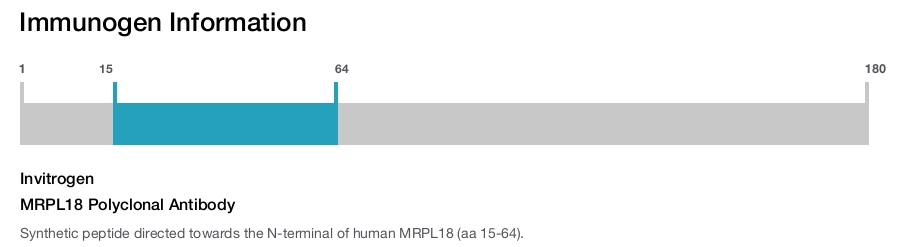 MRPL18 Polyclonal Antibody