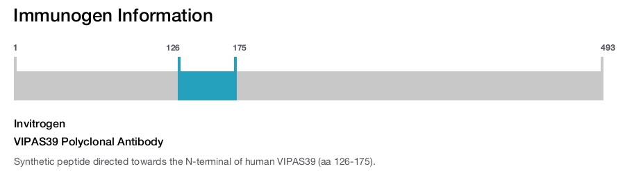 VIPAS39 Polyclonal Antibody