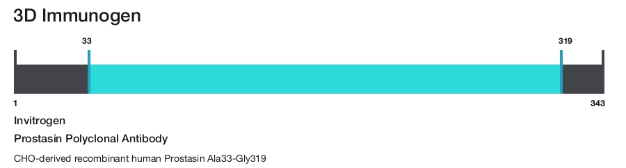 Prostasin Polyclonal Antibody