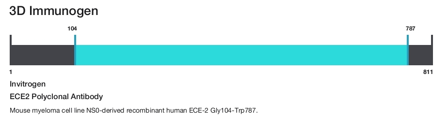 ECE2 Polyclonal Antibody