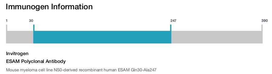 ESAM Polyclonal Antibody
