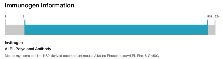 ALPL Polyclonal Antibody
