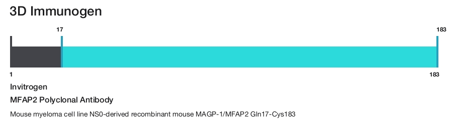 MFAP2 Polyclonal Antibody