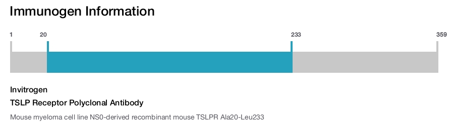 TSLP Receptor Polyclonal Antibody