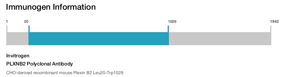 PLXNB2 Polyclonal Antibody