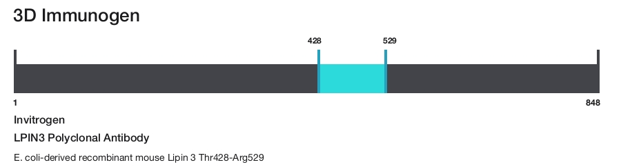 LPIN3 Polyclonal Antibody