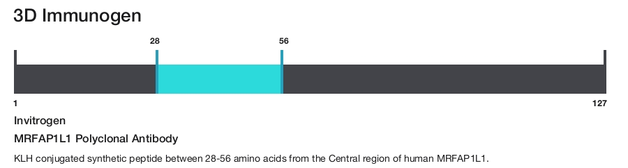 MRFAP1L1 Polyclonal Antibody