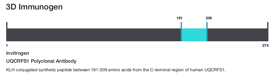 UQCRFS1 Polyclonal Antibody