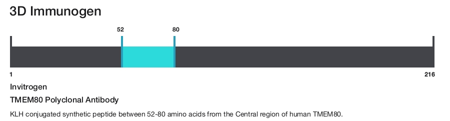 TMEM80 Polyclonal Antibody