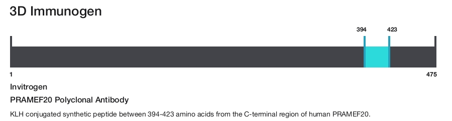 PRAMEF20 Polyclonal Antibody