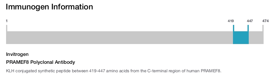 PRAMEF8 Polyclonal Antibody