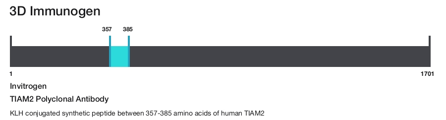 TIAM2 Polyclonal Antibody