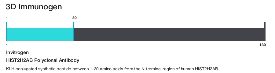 HIST2H2AB Polyclonal Antibody
