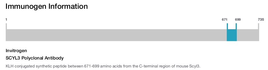 SCYL3 Polyclonal Antibody