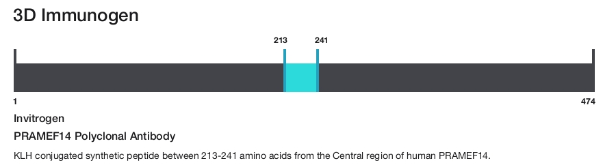 PRAMEF14 Polyclonal Antibody