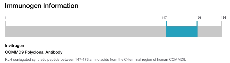 COMMD9 Polyclonal Antibody