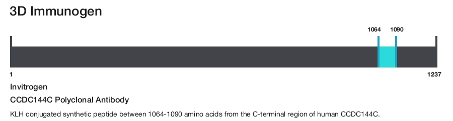 CCDC144C Polyclonal Antibody