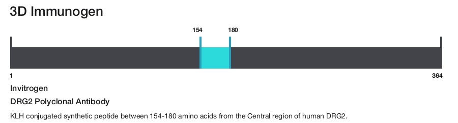 DRG2 Polyclonal Antibody
