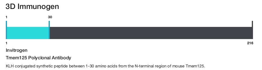 Tmem125 Polyclonal Antibody