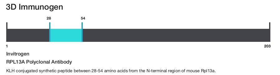 RPL13A Polyclonal Antibody