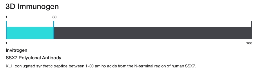 SSX7 Polyclonal Antibody