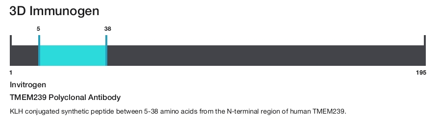 TMEM239 Polyclonal Antibody