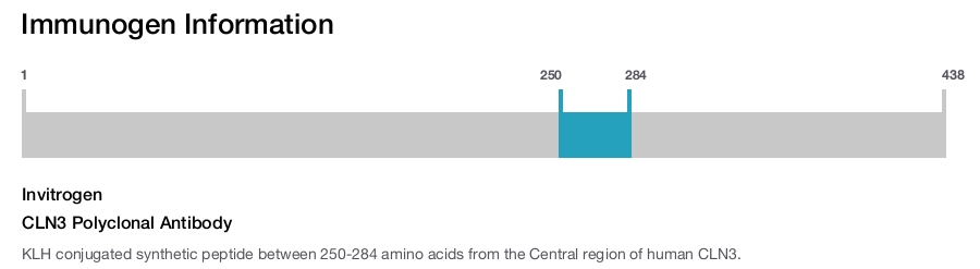 CLN3 Polyclonal Antibody