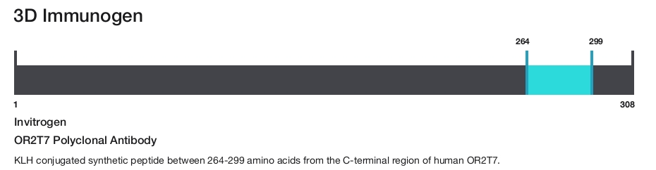 OR2T7 Polyclonal Antibody