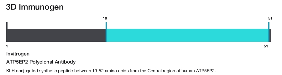 ATP5EP2 Polyclonal Antibody
