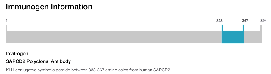 SAPCD2 Polyclonal Antibody
