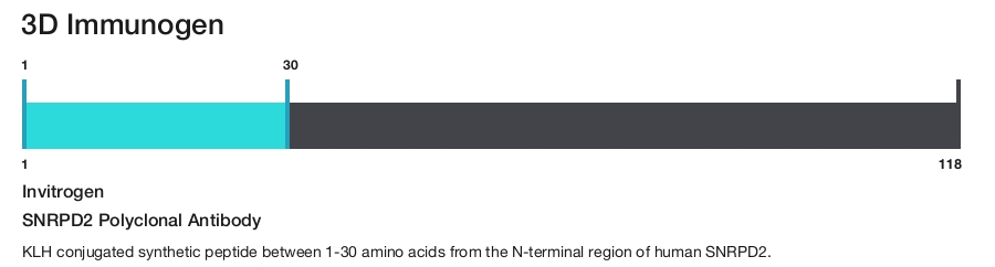 SNRPD2 Polyclonal Antibody