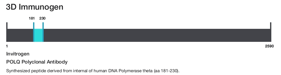 POLQ Polyclonal Antibody